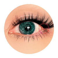 Urban Layer New York Deep Green - NEW